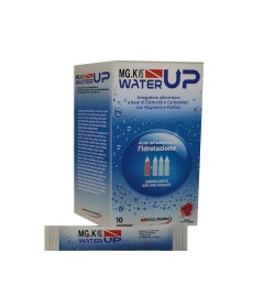 Mgk Vis Water Up - Formato 10 stick 