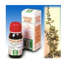 UVA URSINA 30 50ML TM SPECC