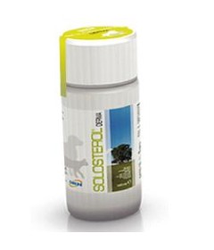 SOLOSTEROL DERMA 100ML