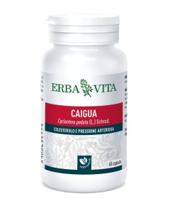 CAIGUA 60CPS 400MG  ERBAVITA