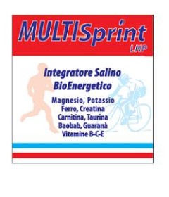 MULTISPRINT 20 BUSTE