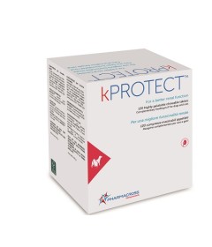 KPROTECT 120CPR MASTICABILI