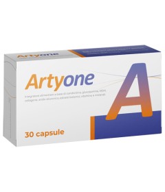 ARTYONE 30CPS SEIKOU