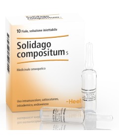 SOLIDAGO COMP 10F 2,2ML HEEL