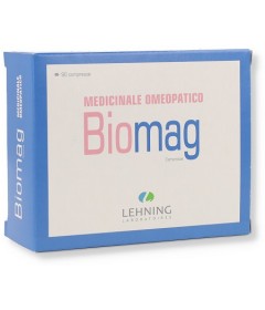 LEHNING BIOMAG 90CPR MAST