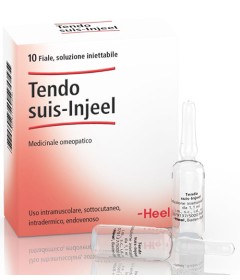 TENDO SUIS INJEEL HEEL