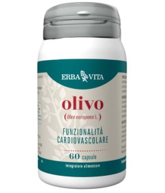 OLIVO 60CPS