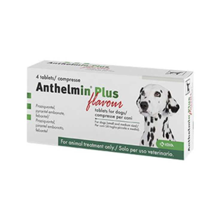 ANTHELMIN PLUS FLAVOUR*2CPR