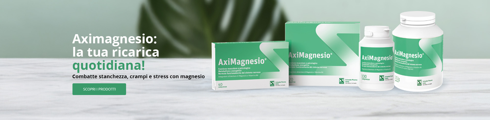 000000Aximagnesiobagherias